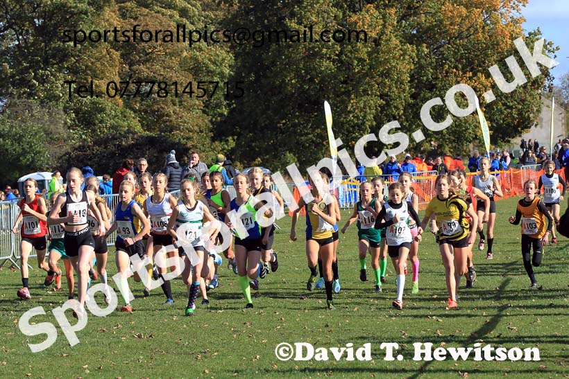 Girls under-13s 2022 Northern Cross Country Relays, Graves Park, Sheffield. Photo: David T. Hewitson/Sports for All Pics